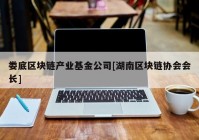 娄底区块链产业基金公司[湖南区块链协会会长]